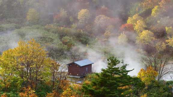 今日は「いい風呂の日」