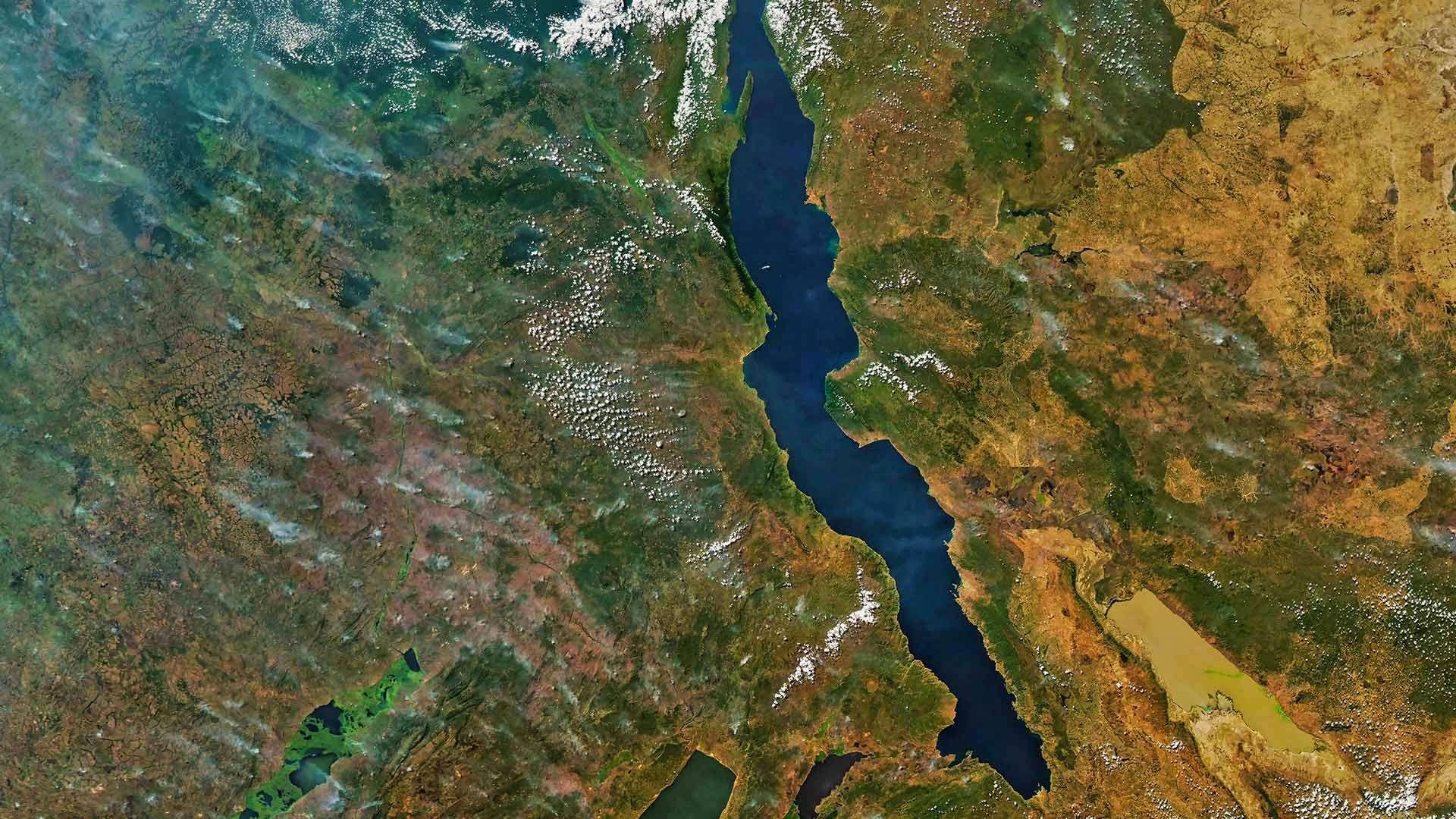 Abund&acirc;ncia enganosa