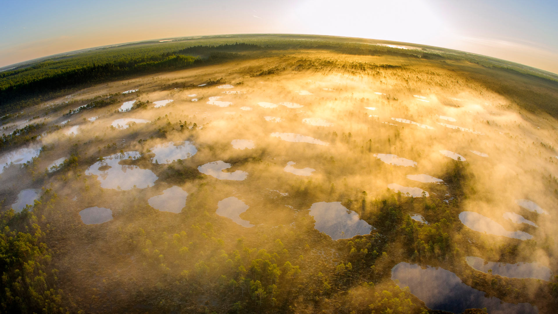 今日は地球の日