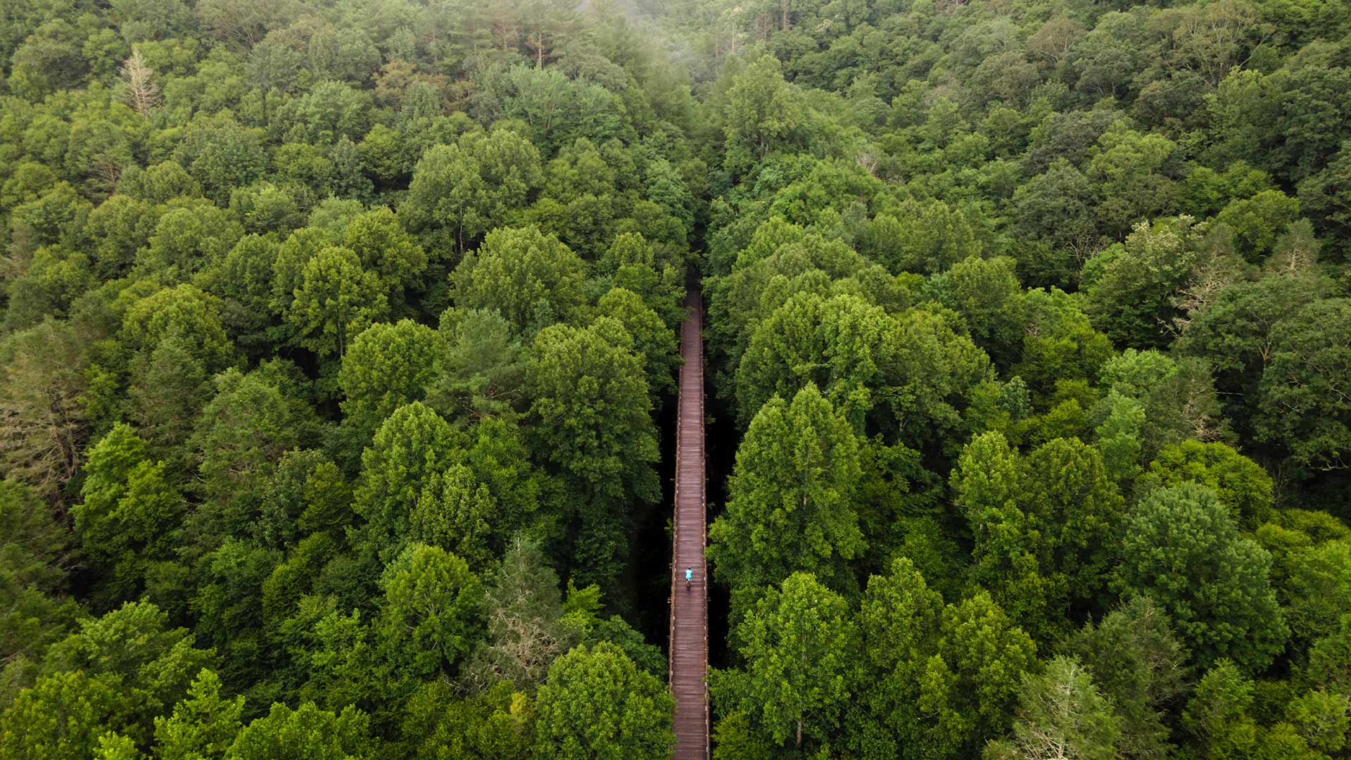 Virginia Creeper Trail, Damascus, Virginia, United States
