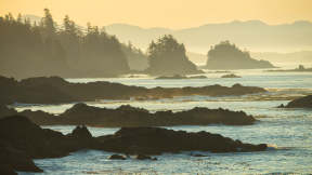 Pacific Rim Whale Festival