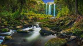 Whangārei Falls in New Zealand
