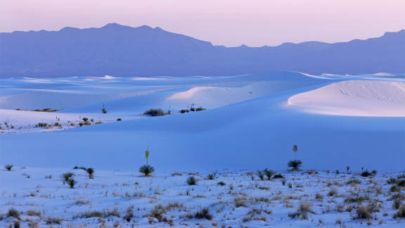 Le plus grand champ de dunes de gypses au monde