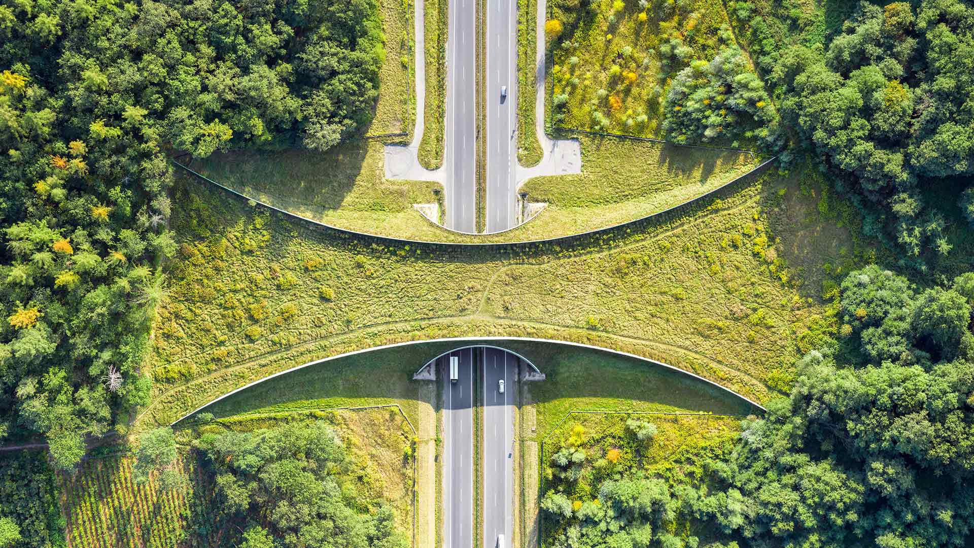 Un &eacute;copont pr&egrave;s de Zakrz&oacute;w, Pologne