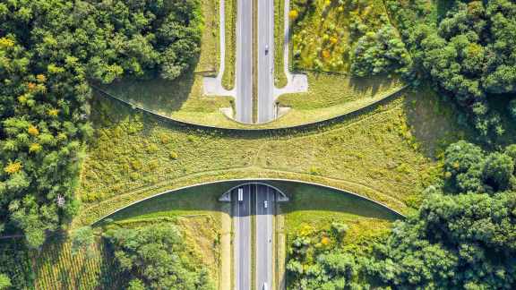 Un &eacute;copont pr&egrave;s de Zakrz&oacute;w, Pologne
