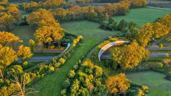 Who uses this grassy bridge?