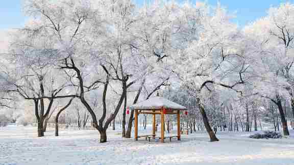 美丽的雾凇景色