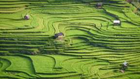 Terrazas de arroz de Mù Cang Chải, provincia de Yên Bái, Vietnam