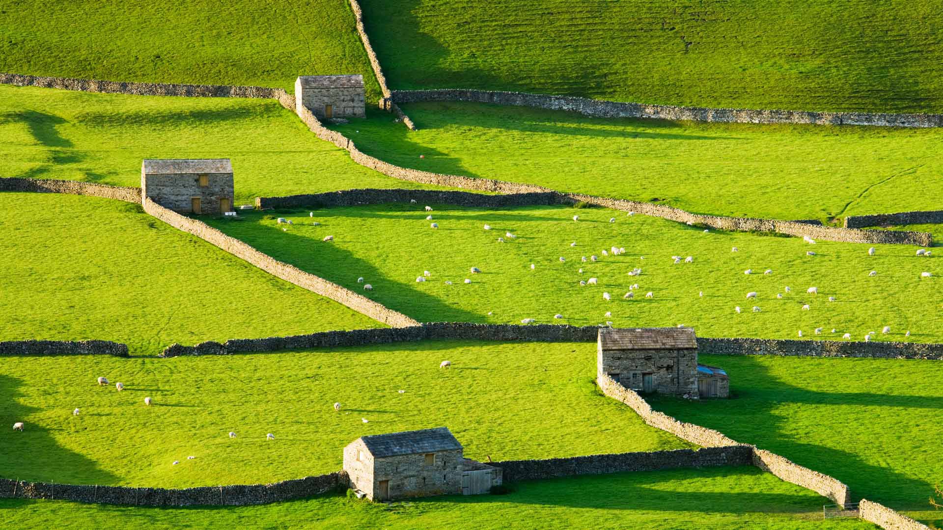 Bing HD Wallpaper May 31 2024 Uma Terra Verde E Agrad vel Bing 