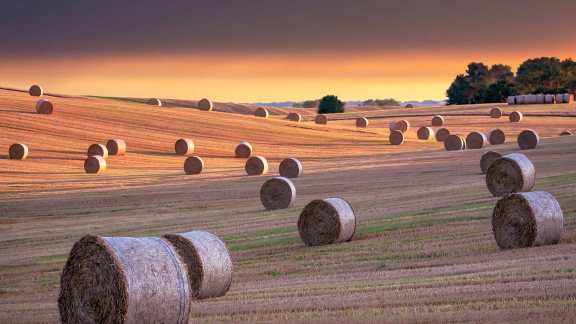 Hay bales in North Yorkshire, England