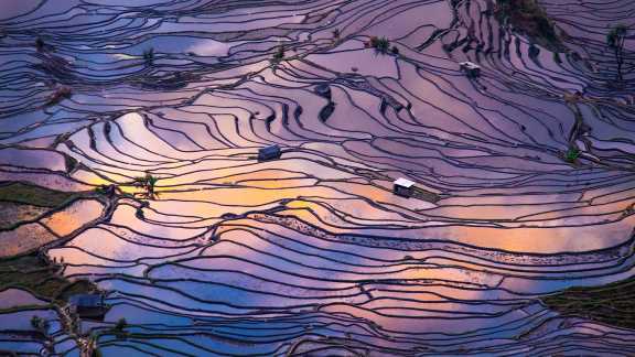 Terraced rice fields, Yuanyang County, China