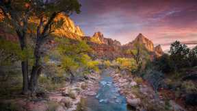 The cliffs and canyons of Zion National Park