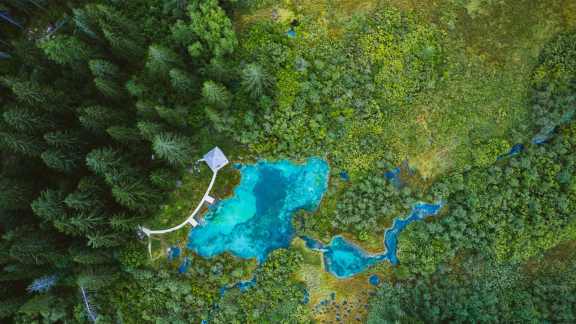 Zelenci Nature Reserve, Slovenia