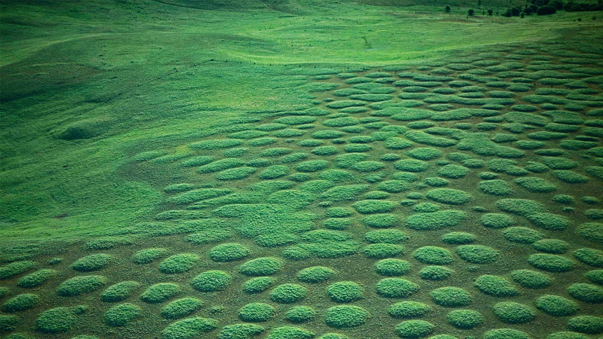 Mysterious prairie mounds abound