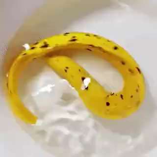 Banana eel