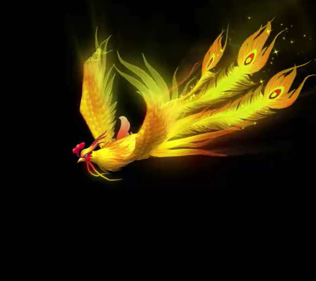 Golden phoenix bird GIF, Animal short mp4 video - GIFPoster