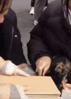Puppy footprint stamp short MP4 video