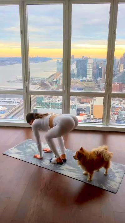 The big ginger cat, the yoga clothes and the butt