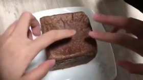 bread and cat short MP4 video