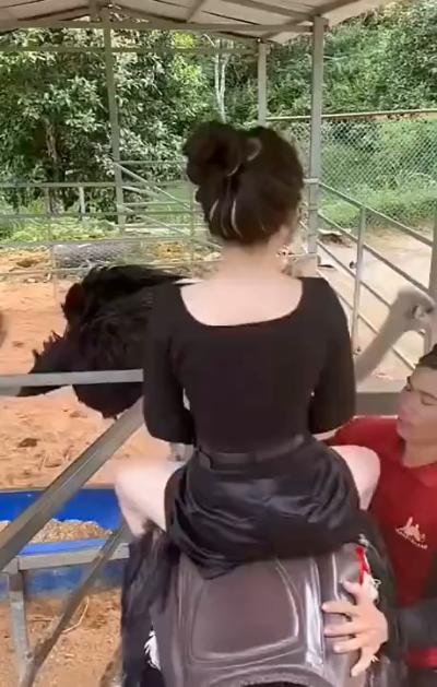 Riding an ostrich
