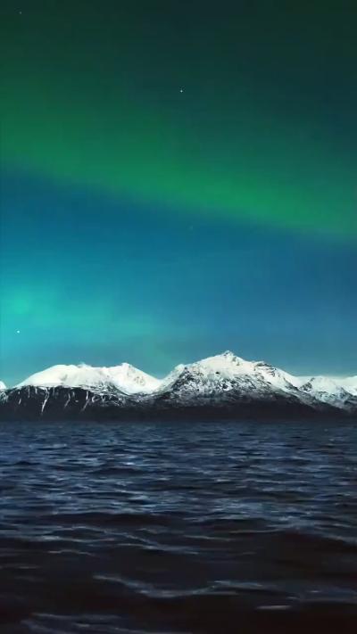 Orcas swim under the Northern Lights GIF