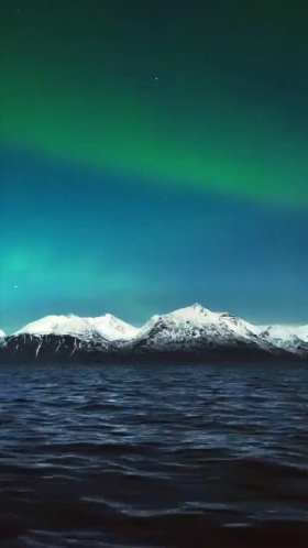 Orcas swim under the Northern Lights short MP4 video