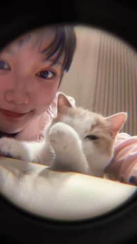 Kitten licking girl's face short MP4 video
