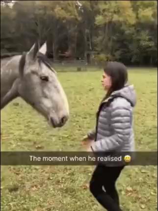 The horse thinks the woman put the bridle on it