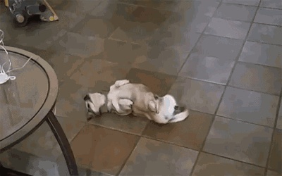 Itching is contagious GIF