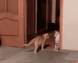 Be startled