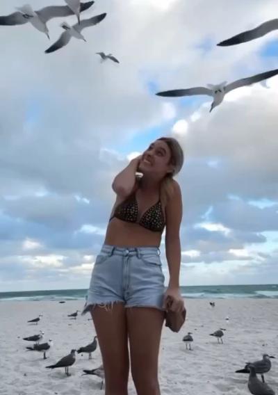 Seagull unbuttons a bikini girls swimsuit