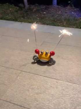 Little crab sets off fireworks short MP4 video