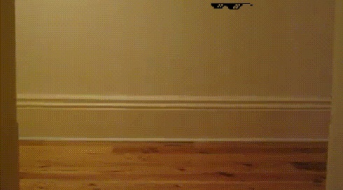 deal with itbox catcatkitten GIF