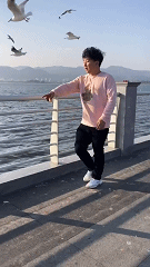 The seagull said eat something hot GIF
