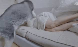 The cat got into her arms GIF