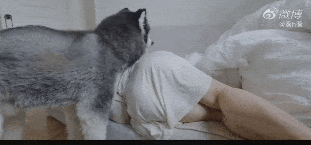 Cats pass by beautiful women's hips