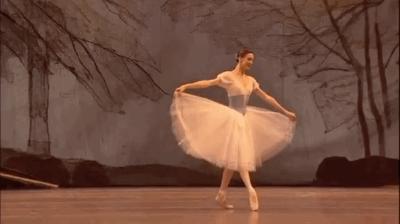 elegant ballet performance
