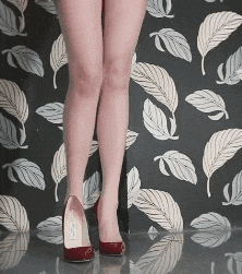 Exciting beautiful legs