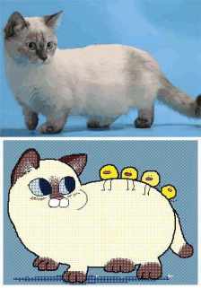 funny Anime GIF, cat GIF