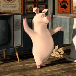 dancing pig GIF
