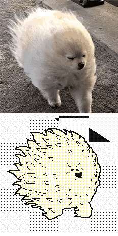 funny Anime GIF, porcupine