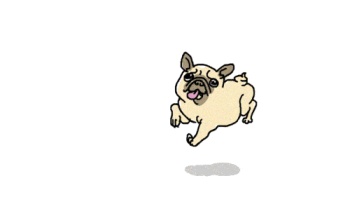 running pug GIF