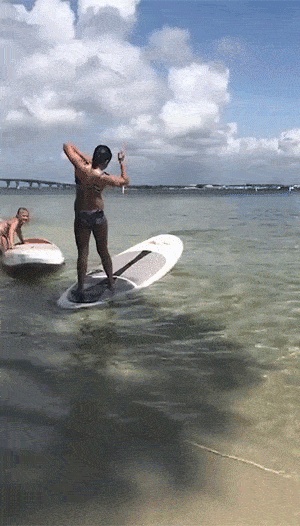 Fortunately, the water is shallow GIF