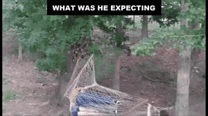 What does he want to do GIF