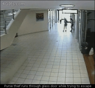 DUDE DIDN’T YOU NOTICED THE SIX FOOT DOOR RIGHT IN FRONT OF YOU THAT’S A FAIL GIF GIF