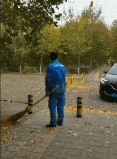clearing autumn leaves GIF