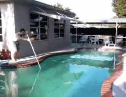 Over the pool GIF