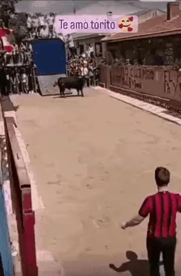 The matador's magnificent turn