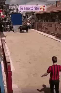 The matador's magnificent turn short MP4 video