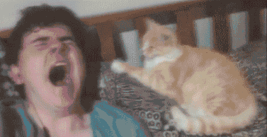 Yawning is contagious. GIF